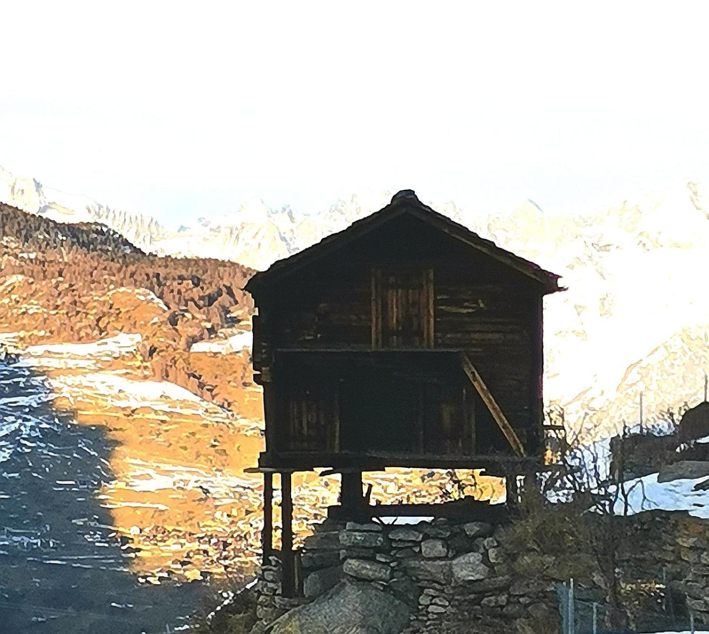 Hotel Alpina Grächen Eksteriør bilde